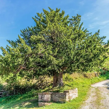 Terra Ecoturismo Casa La Casita Verde